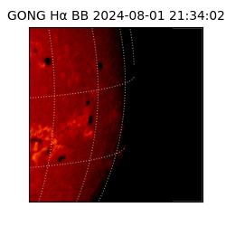 gong - 2024-08-01T21:34:02