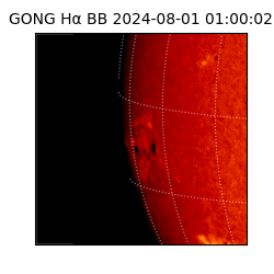 gong - 2024-08-01T01:00:02