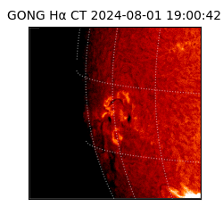 gong - 2024-08-01T19:00:42