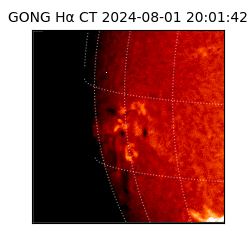 gong - 2024-08-01T20:01:42