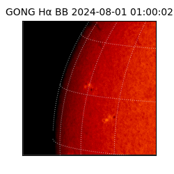 gong - 2024-08-01T01:00:02