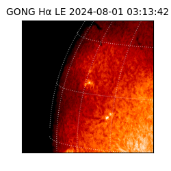 gong - 2024-08-01T03:13:42