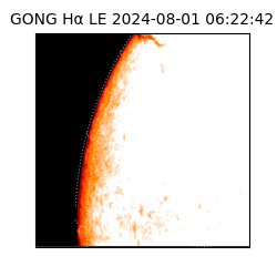 gong - 2024-08-01T06:22:42