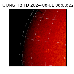 gong - 2024-08-01T08:00:22