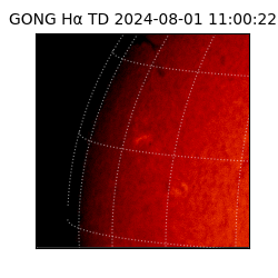 gong - 2024-08-01T11:00:22