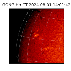 gong - 2024-08-01T14:01:42