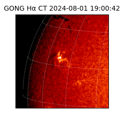gong - 2024-08-01T19:00:42