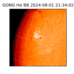 gong - 2024-08-01T21:34:02