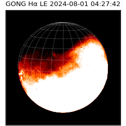 gong - 2024-08-01T04:27:42