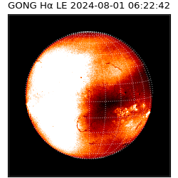 gong - 2024-08-01T06:22:42