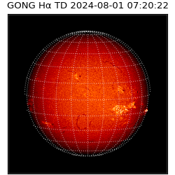 gong - 2024-08-01T07:20:22