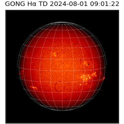 gong - 2024-08-01T09:01:22