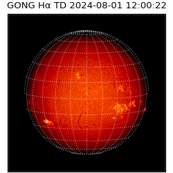 gong - 2024-08-01T12:00:22
