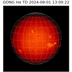 gong - 2024-08-01T13:00:22