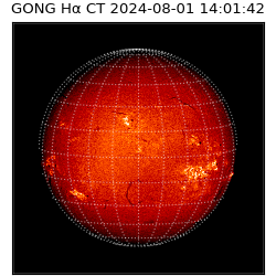 gong - 2024-08-01T14:01:42