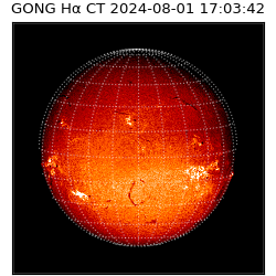 gong - 2024-08-01T17:03:42