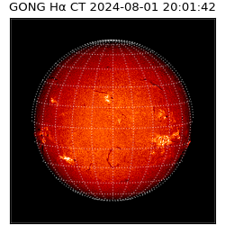 gong - 2024-08-01T20:01:42