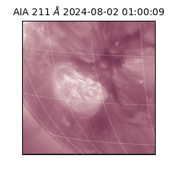 saia - 2024-08-02T01:00:09.630000