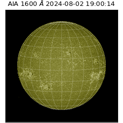 saia - 2024-08-02T19:00:14.126000