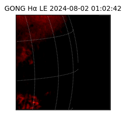 gong - 2024-08-02T01:02:42