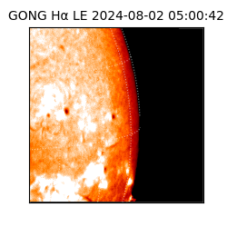 gong - 2024-08-02T05:00:42