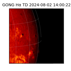 gong - 2024-08-02T14:00:22