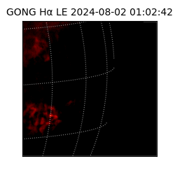 gong - 2024-08-02T01:02:42