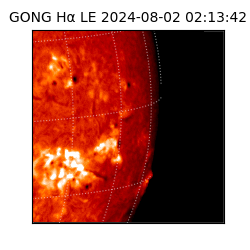 gong - 2024-08-02T02:13:42