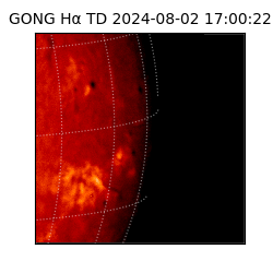 gong - 2024-08-02T17:00:22