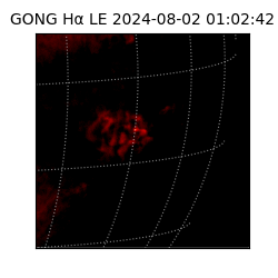 gong - 2024-08-02T01:02:42