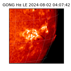 gong - 2024-08-02T04:07:42