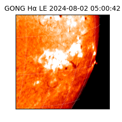 gong - 2024-08-02T05:00:42