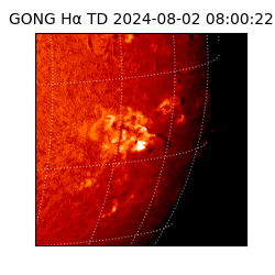 gong - 2024-08-02T08:00:22