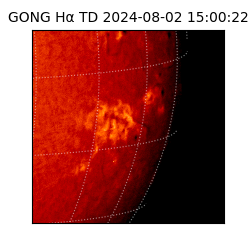 gong - 2024-08-02T15:00:22