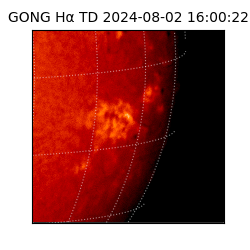 gong - 2024-08-02T16:00:22