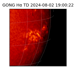 gong - 2024-08-02T19:00:22