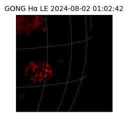 gong - 2024-08-02T01:02:42