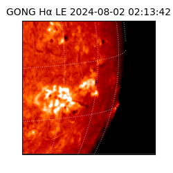 gong - 2024-08-02T02:13:42