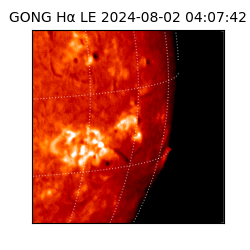 gong - 2024-08-02T04:07:42