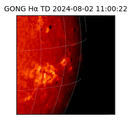 gong - 2024-08-02T11:00:22