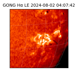 gong - 2024-08-02T04:07:42