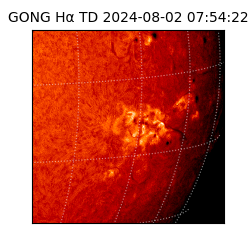 gong - 2024-08-02T07:54:22