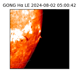 gong - 2024-08-02T05:00:42