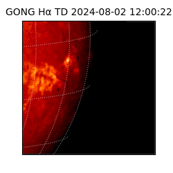 gong - 2024-08-02T12:00:22