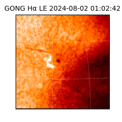 gong - 2024-08-02T01:02:42