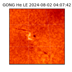 gong - 2024-08-02T04:07:42