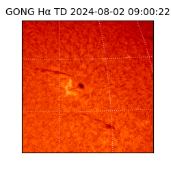 gong - 2024-08-02T09:00:22