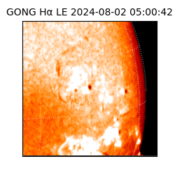 gong - 2024-08-02T05:00:42