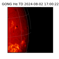 gong - 2024-08-02T17:00:22