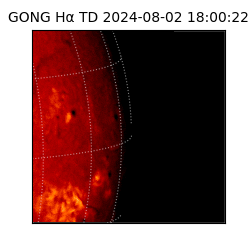 gong - 2024-08-02T18:00:22